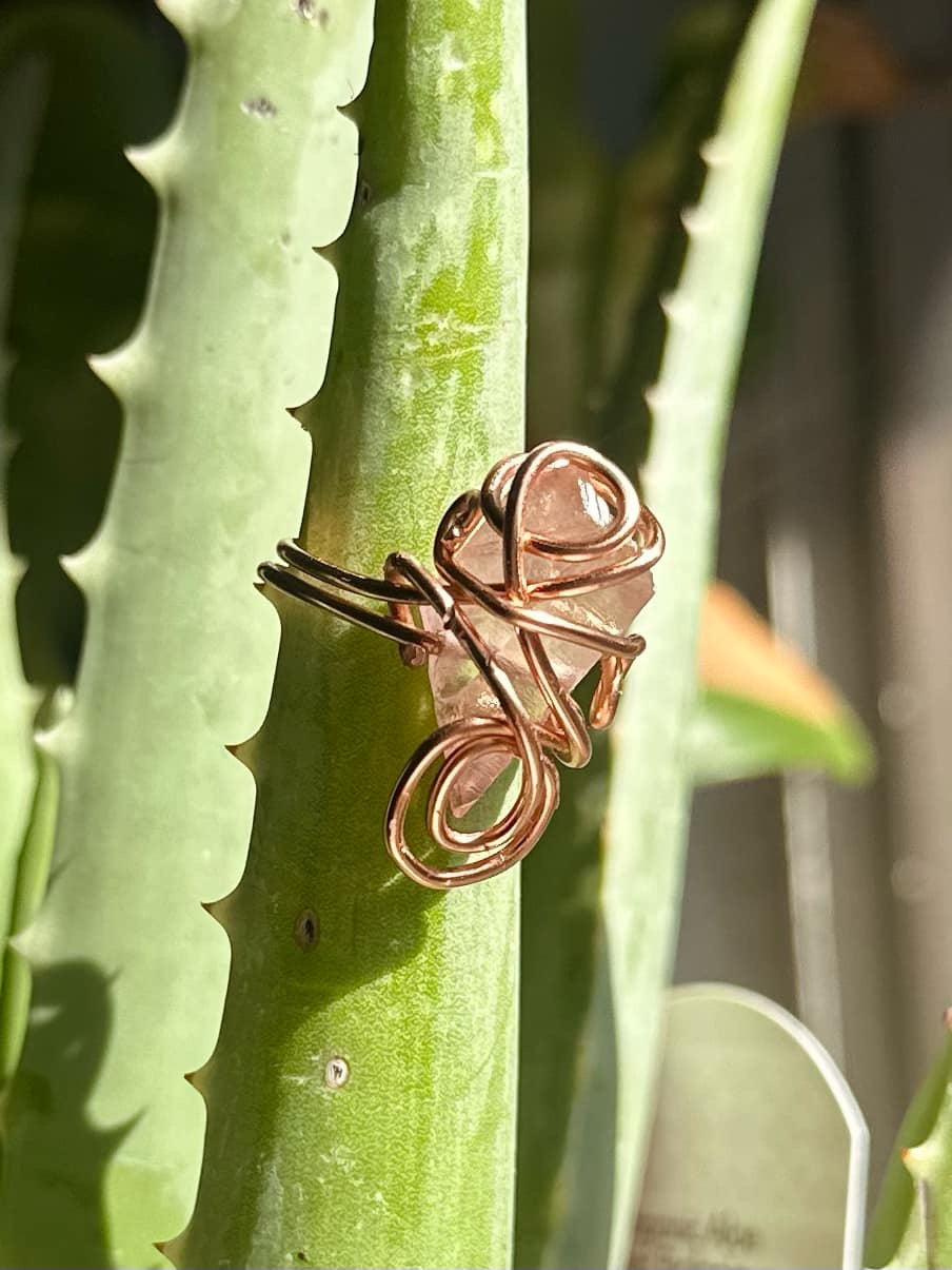 Venus Love Set